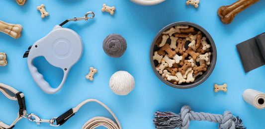 Are You Feeding Your Pet Wrong? The Shocking Truth About Pet Nutrition!